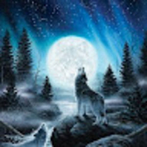 Meet your Posher, Cristian